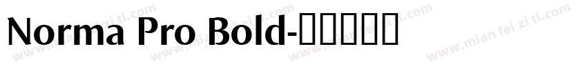 Norma Pro Bold字体转换
